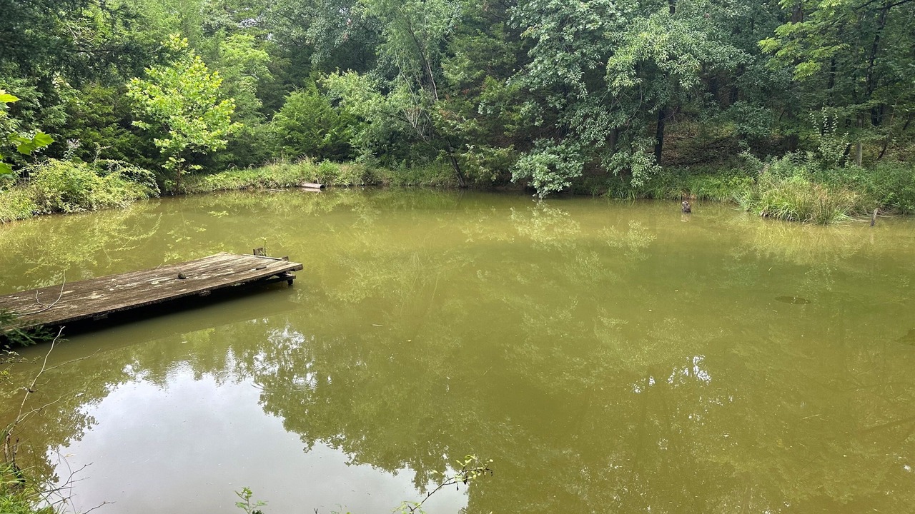 Photo of Outdoor in Texico