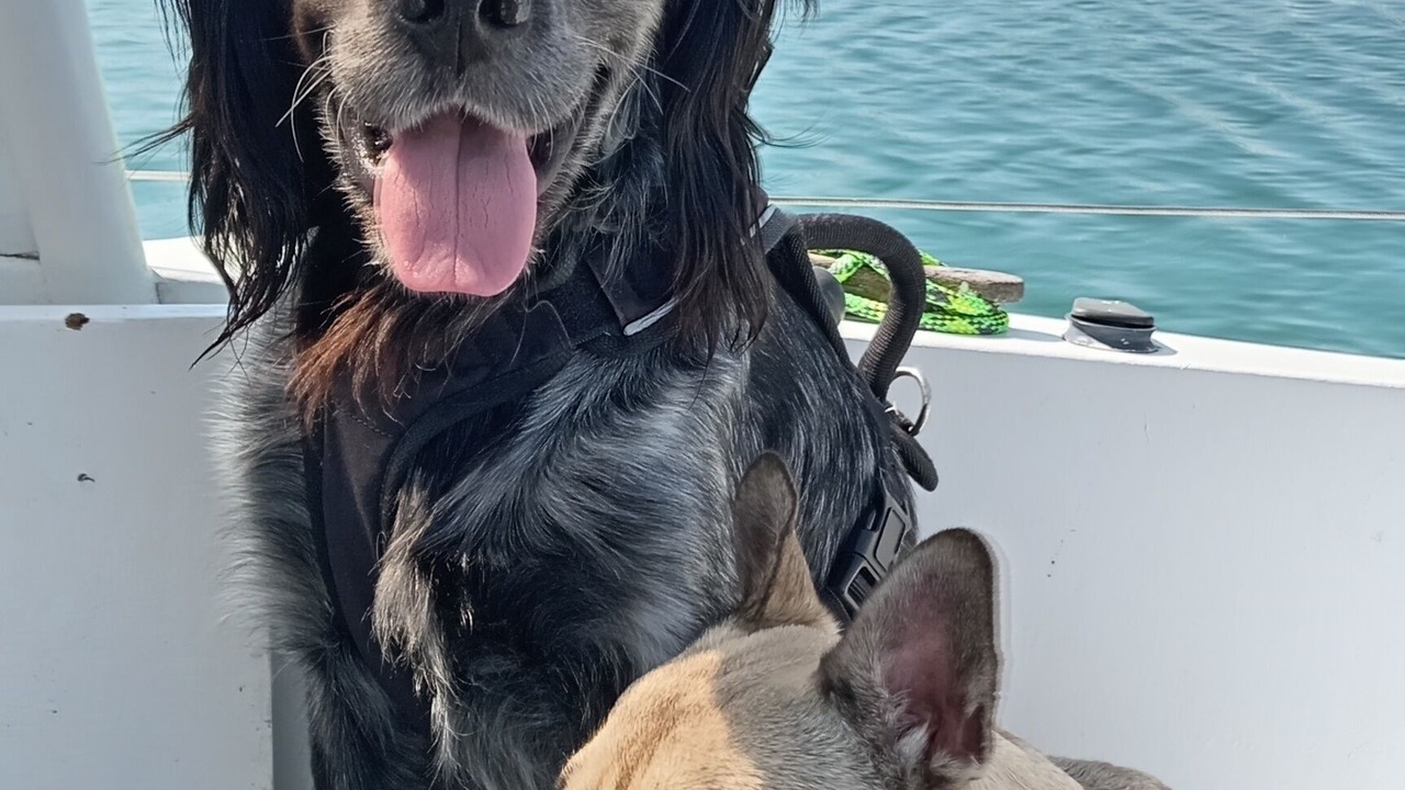 Photo of Others in Couterne