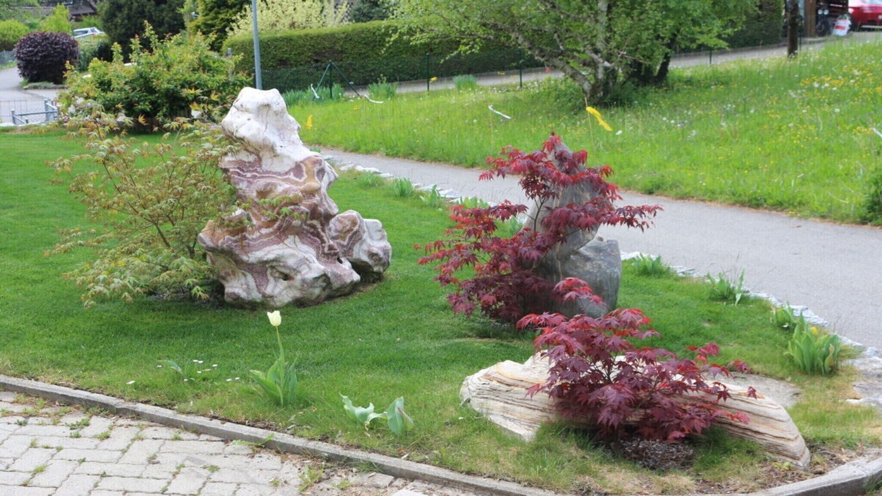 Photo of Outdoor in Blonay
