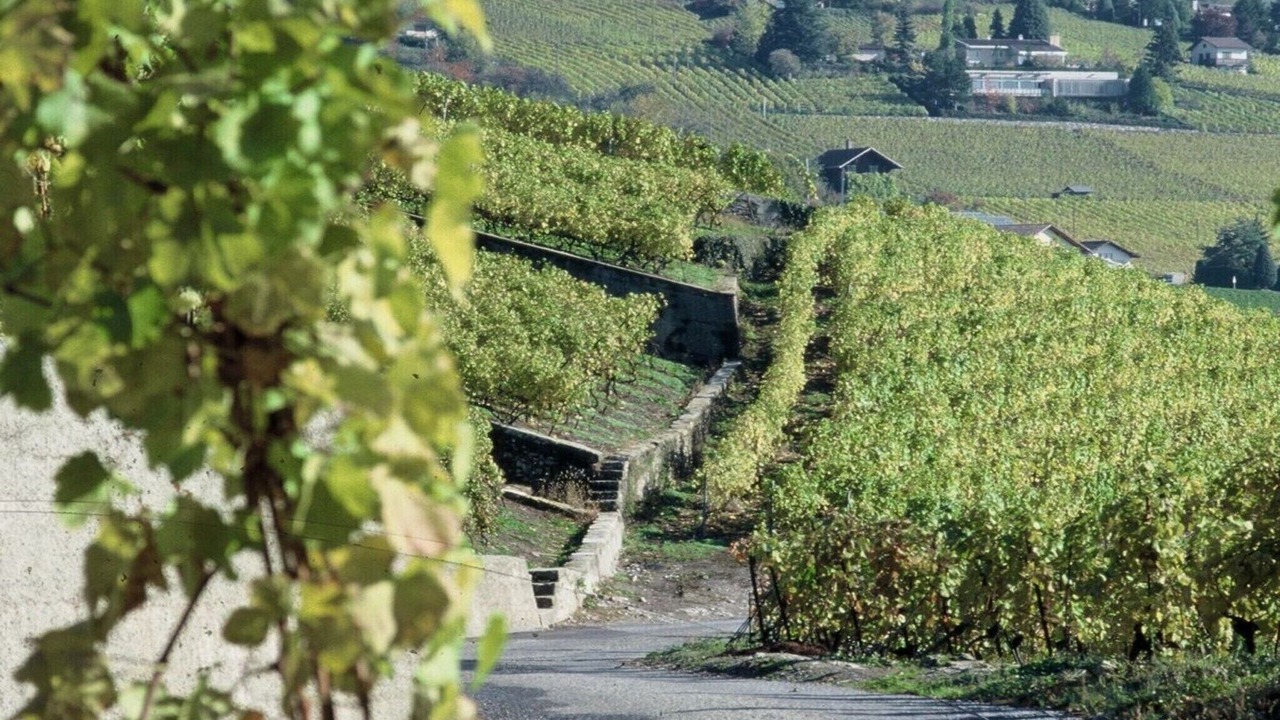 Photo of Outdoor in Blonay