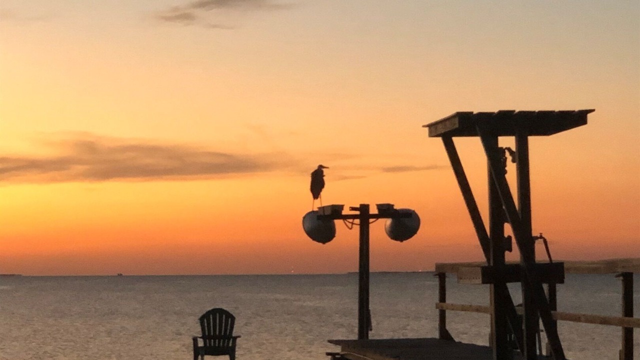 Photo of Others in Rockport