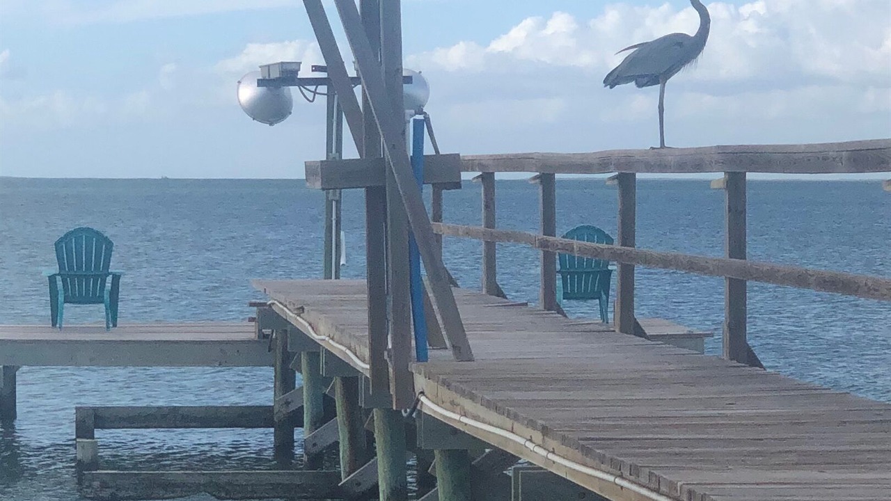 Photo of Others in Rockport