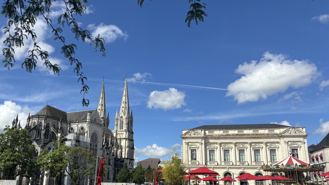 Photo of Others in Cholet