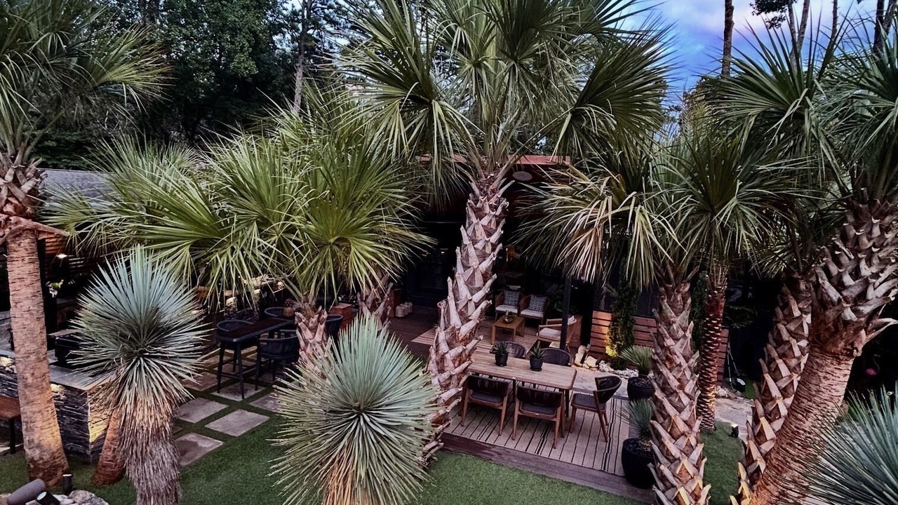 Photo of Outdoor in Atlanta