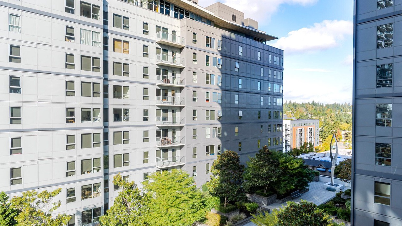 Photo of Outdoor in Northwest Bellevue