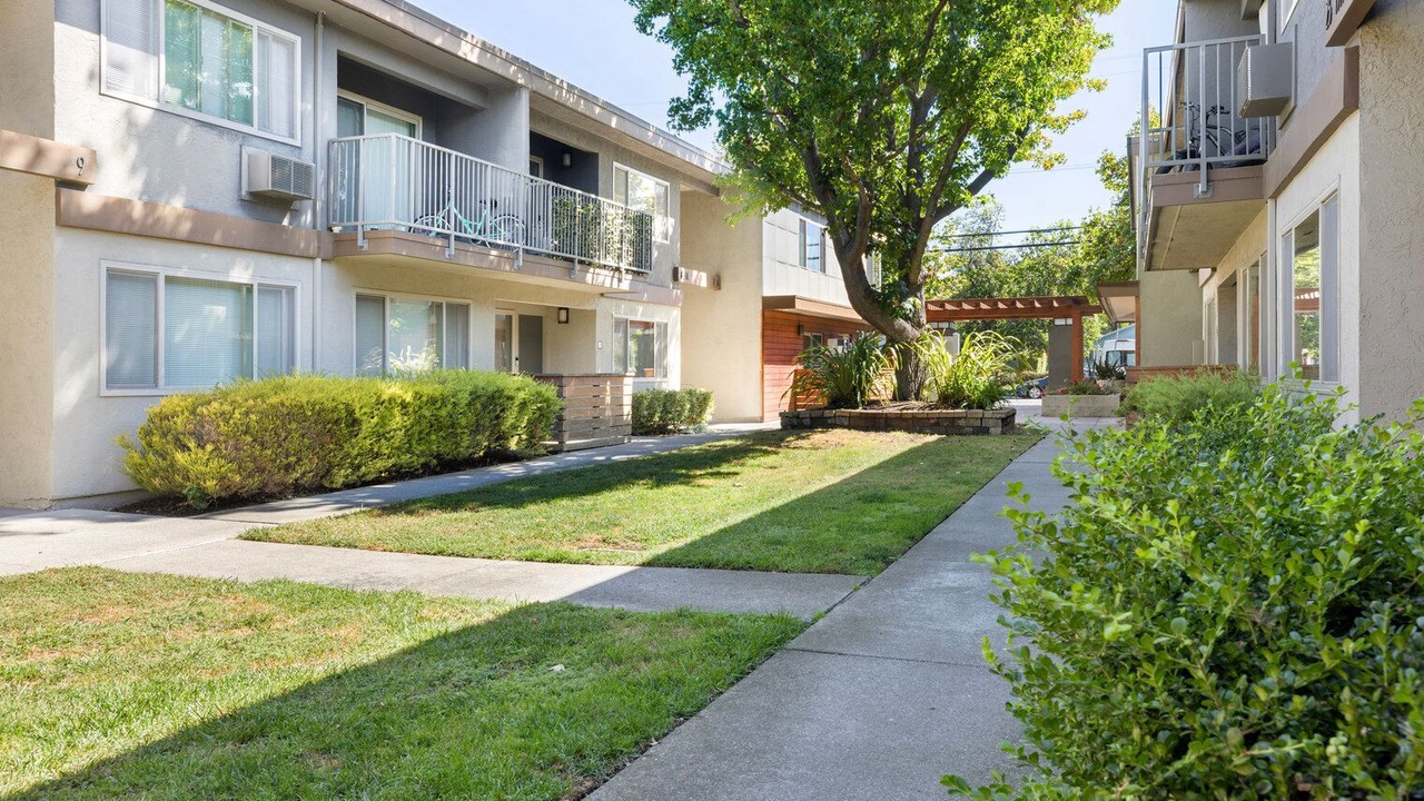 Photo of Outdoor in Mountain View