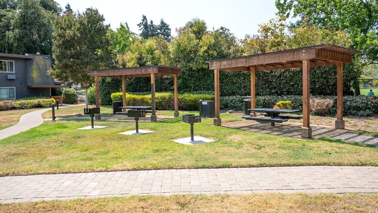 Photo of Outdoor in Mountain View