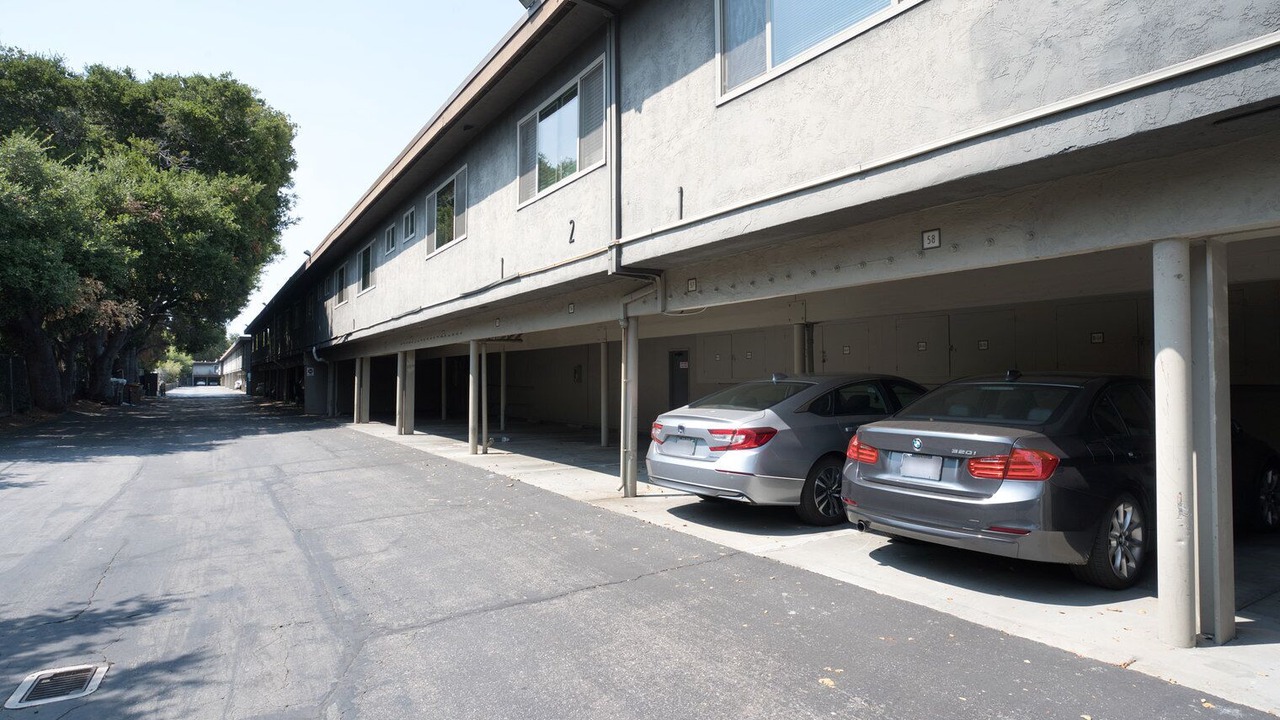 Photo of Outdoor in Mountain View