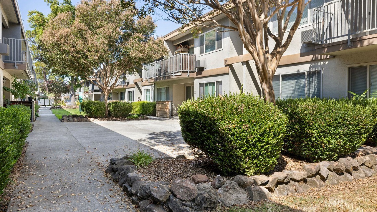 Photo of Outdoor in Mountain View