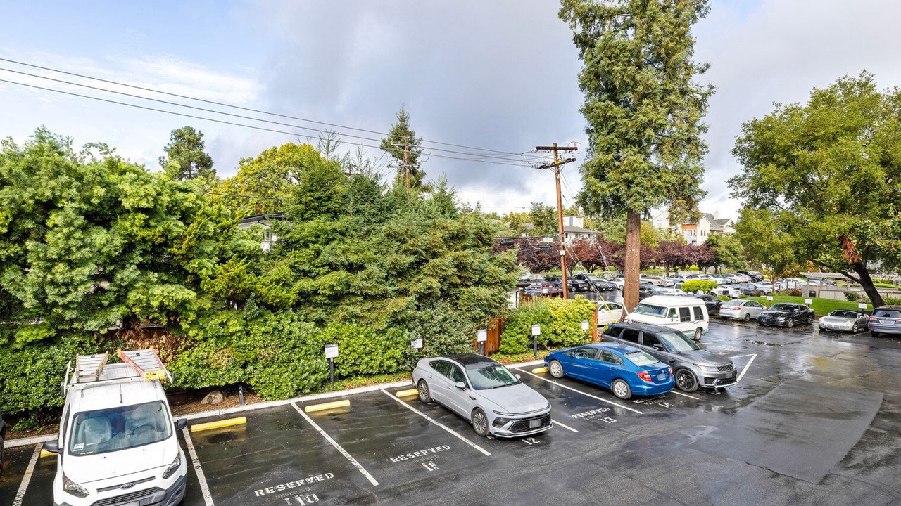 Photo of Outdoor in West San Jose