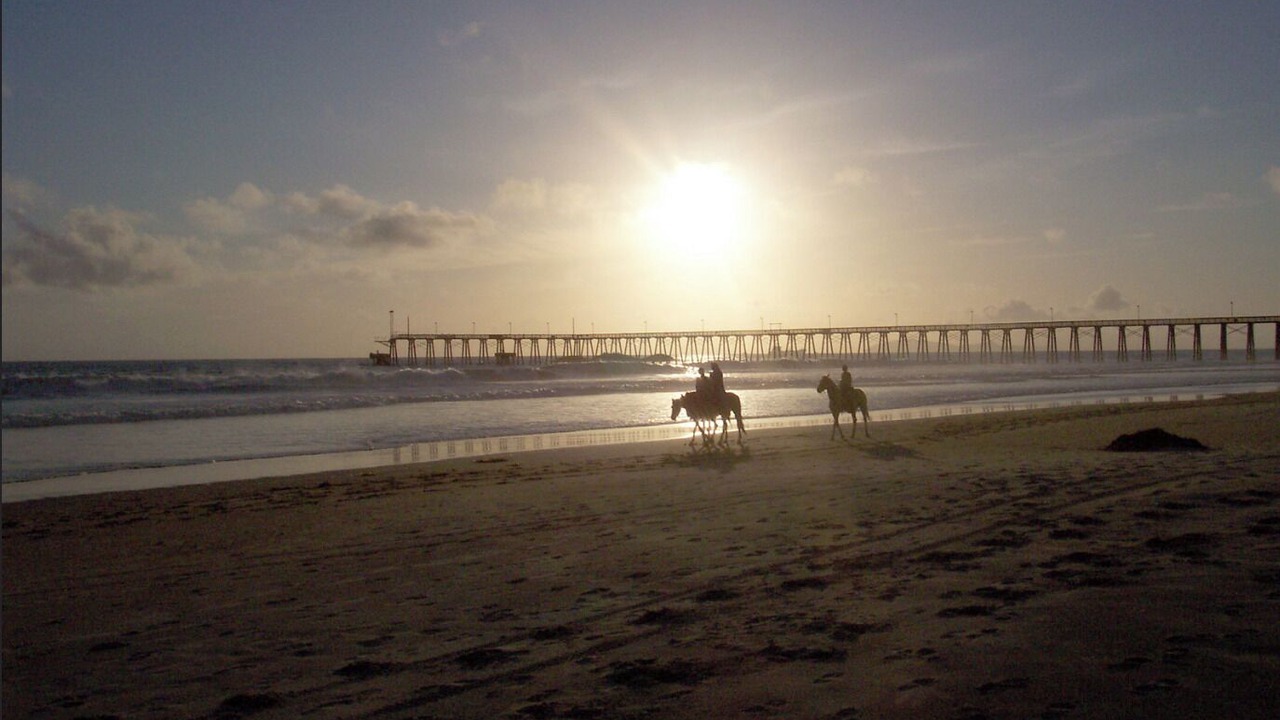 Photo of Others in Centro Playas