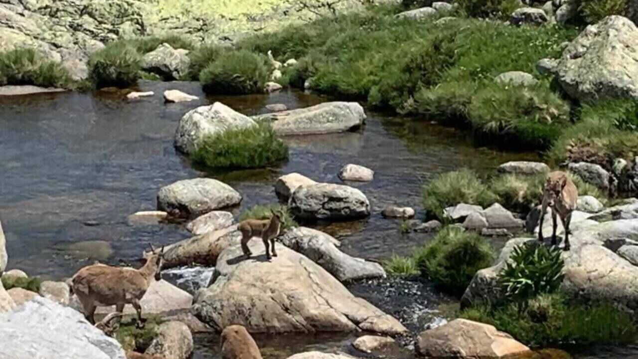 Photo of Others in Navarredonda de Gredos