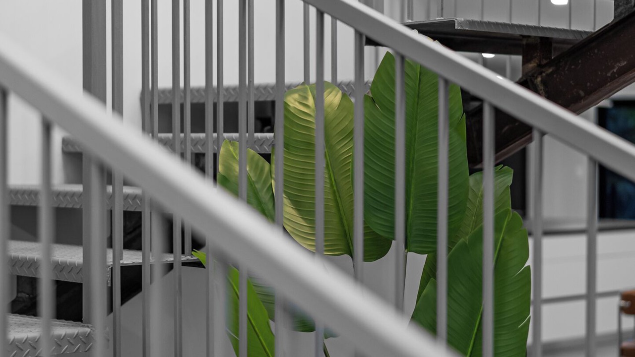 Photo of Others in Mermaid Waters