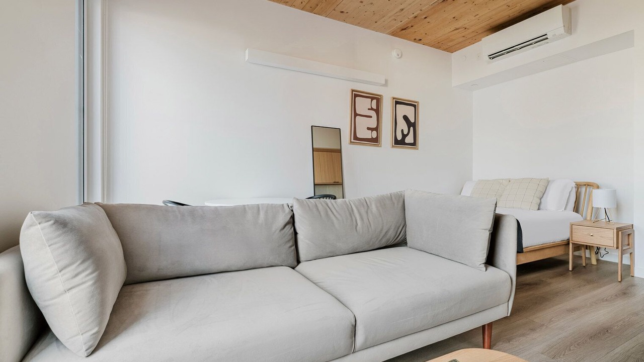 Photo of Livingroom in East Somerville