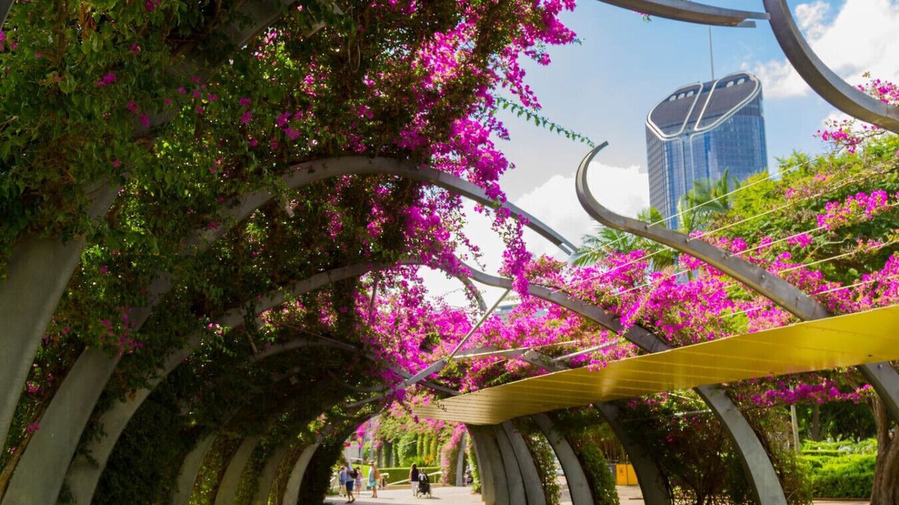 Photo of Others in Indooroopilly