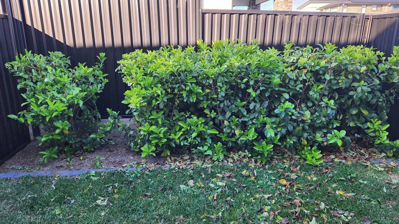 Photo of Outdoor in Marsden Park