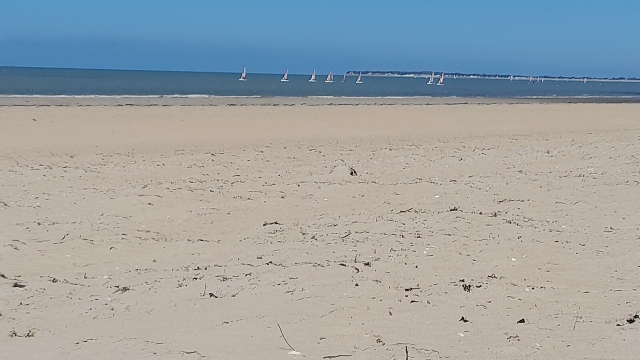 Photo of Others in Barbatre