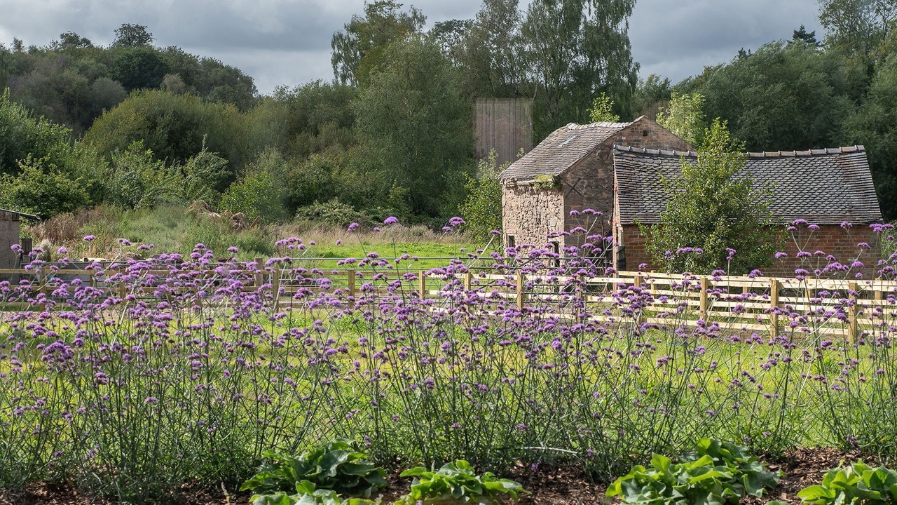 Photo of Others in Market Drayton