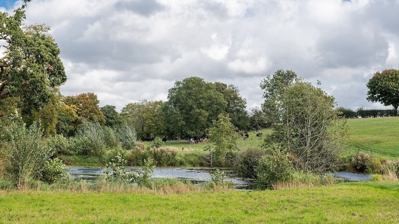 Photo of Others in Market Drayton