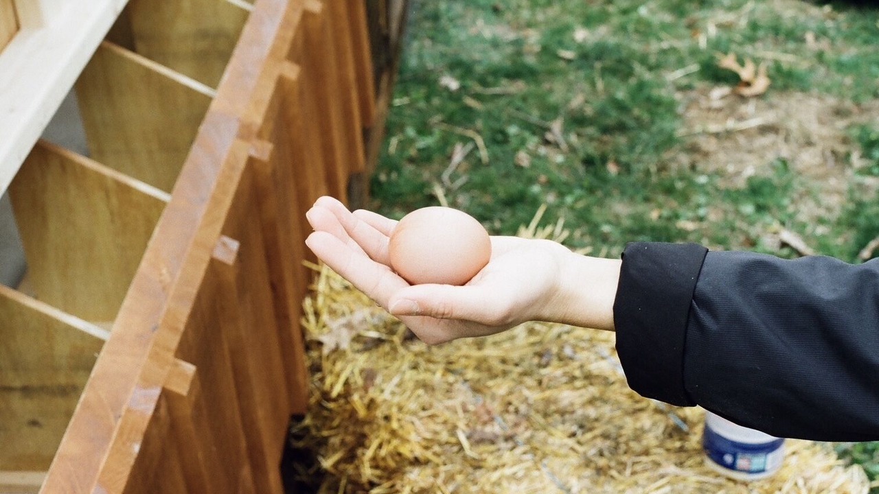 Photo of Others in Phoenixville