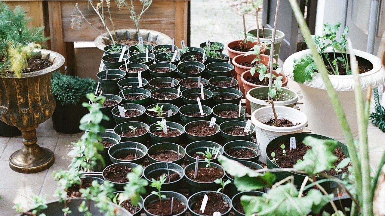 Photo of Others in Phoenixville