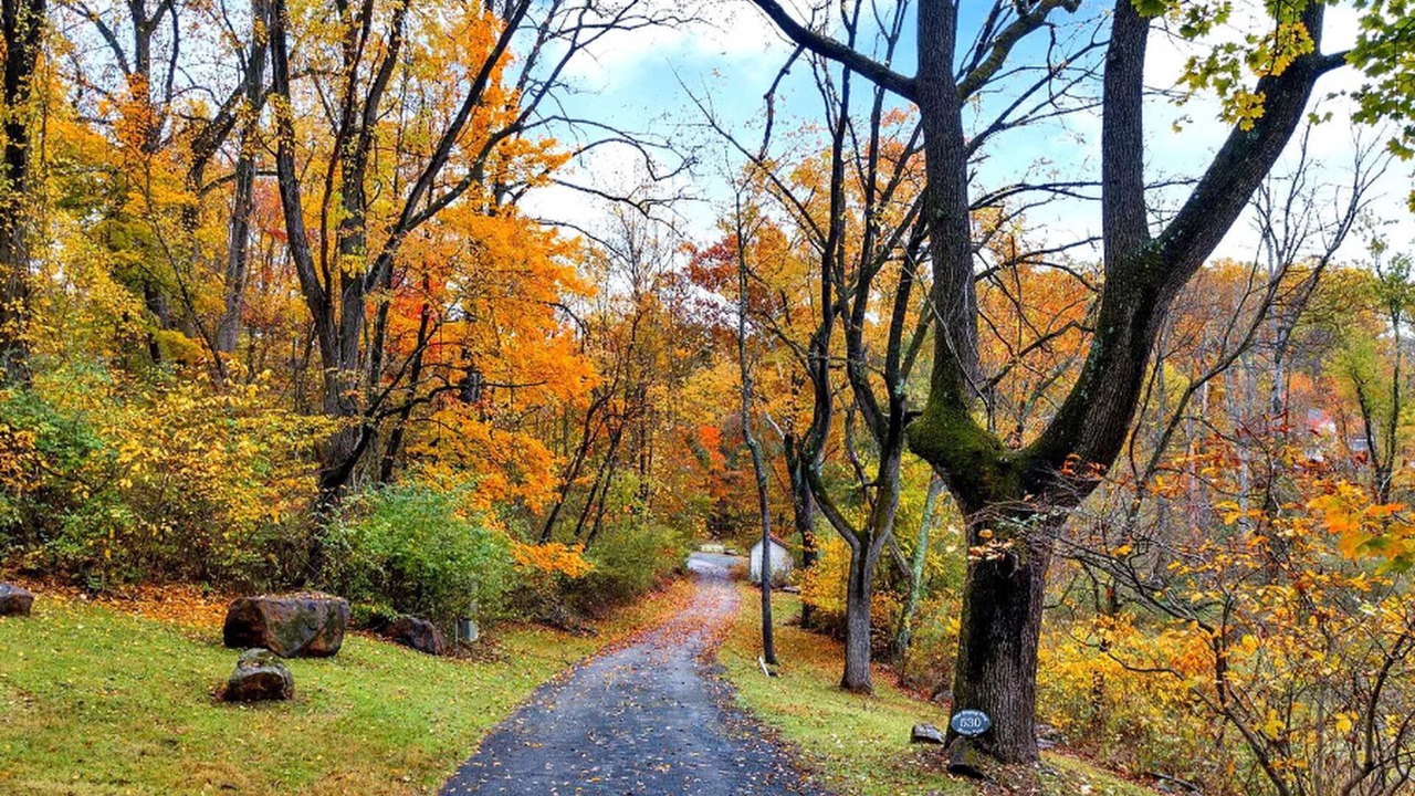 Photo of Others in Phoenixville