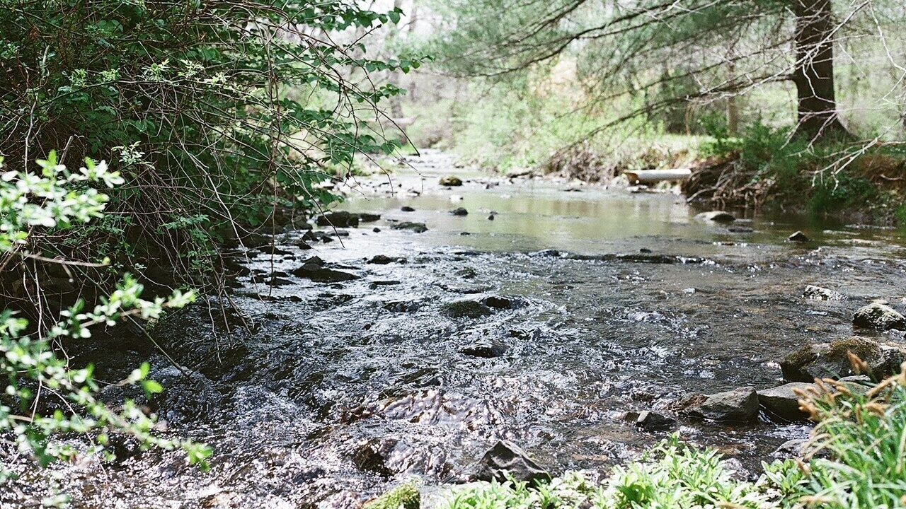 Photo of Others in Phoenixville