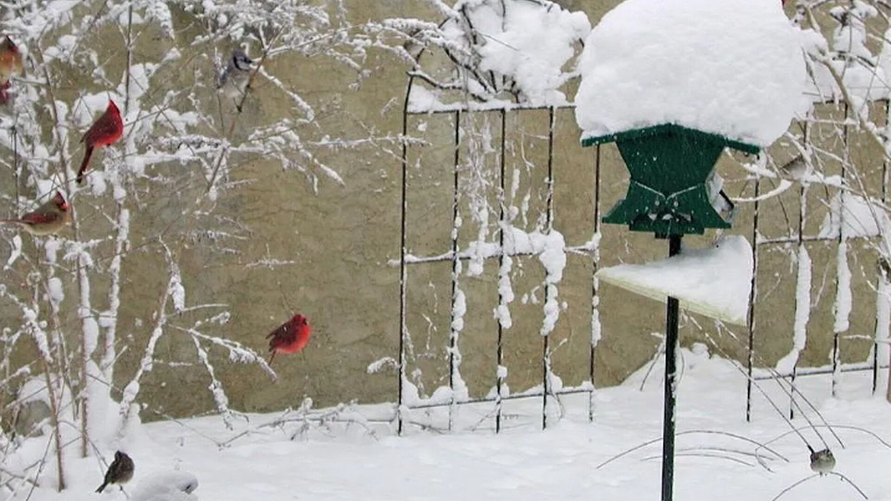 Photo of Others in Phoenixville