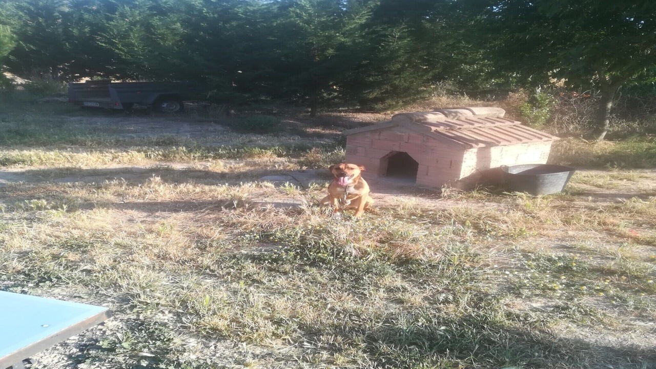 Photo of Others in Calonge de Segarra