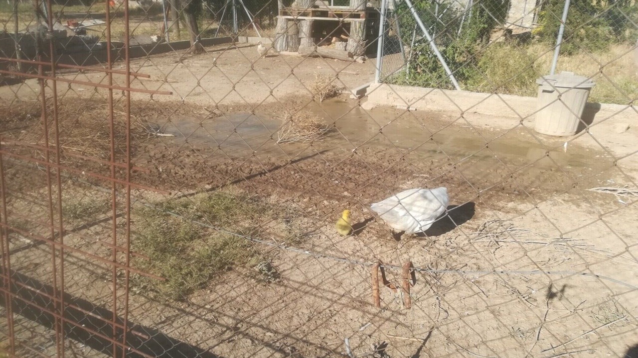 Photo of Others in Calonge de Segarra