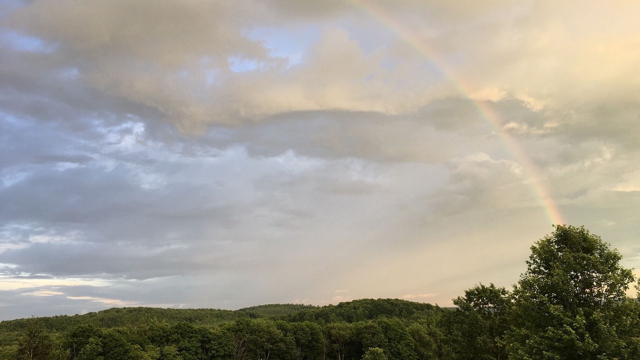 Photo of Others in Milford