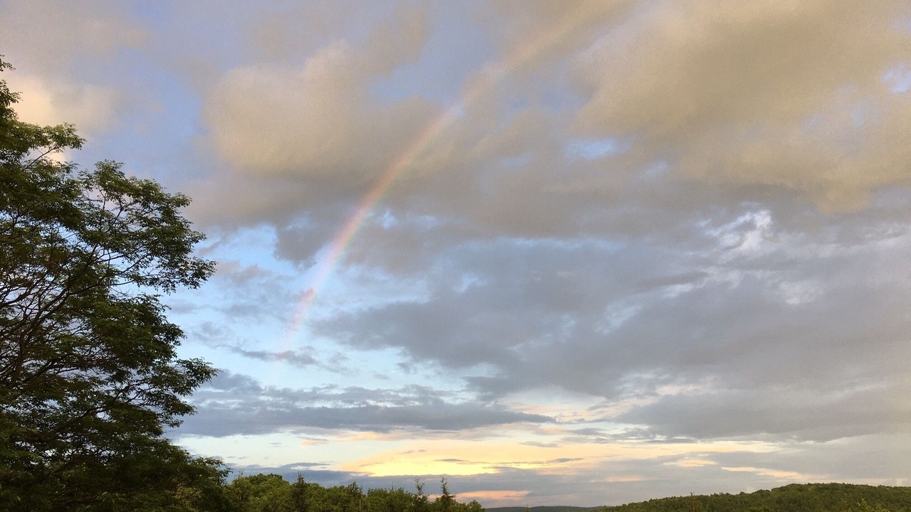 Photo of Others in Milford