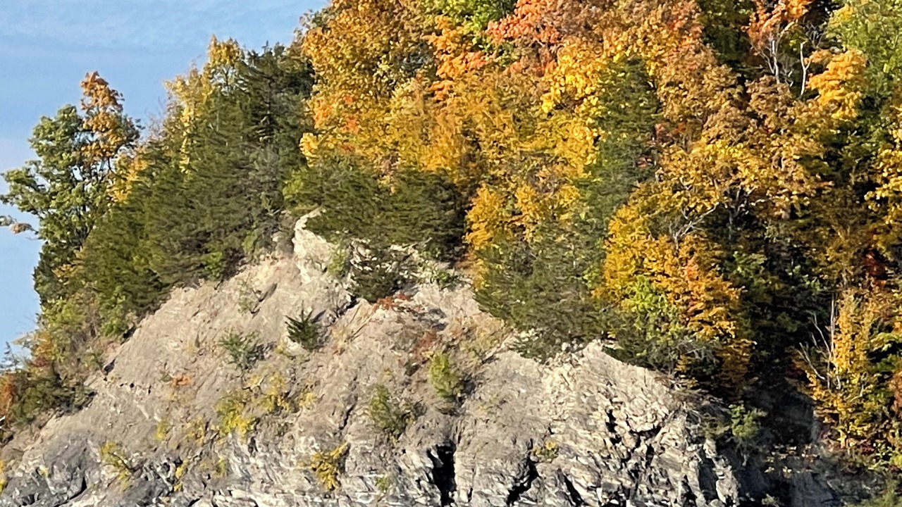 Photo of Others in Fair Haven