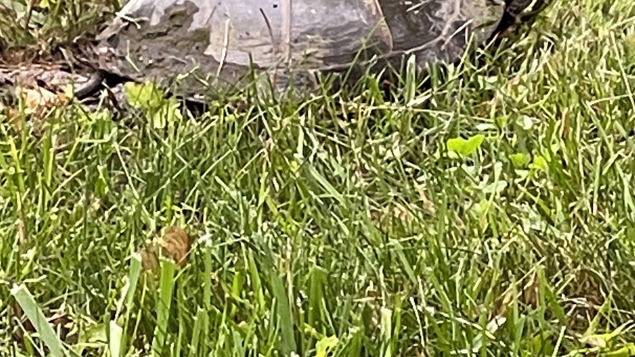 Photo of Others in Fair Haven