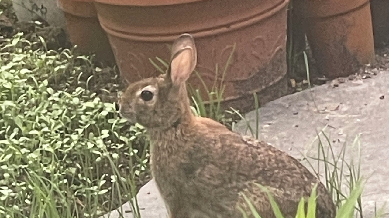 Photo of Outdoor in Fair Haven