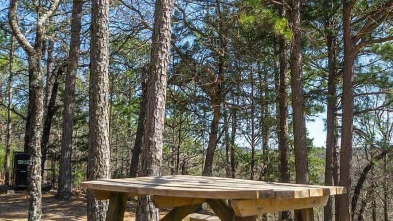 Photo of Outdoor in Board Camp