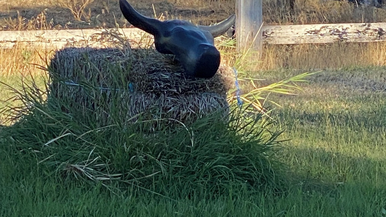 Photo of Others in Ellensburg