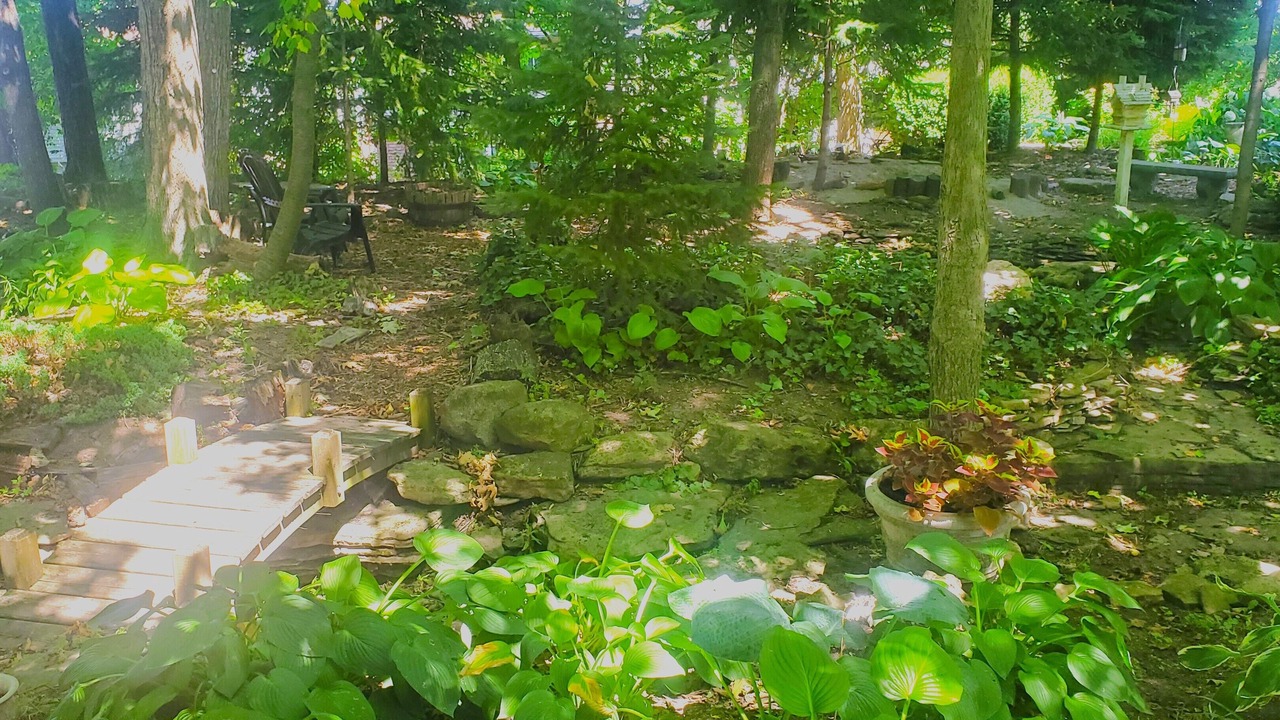 Photo of Outdoor in Hamilton