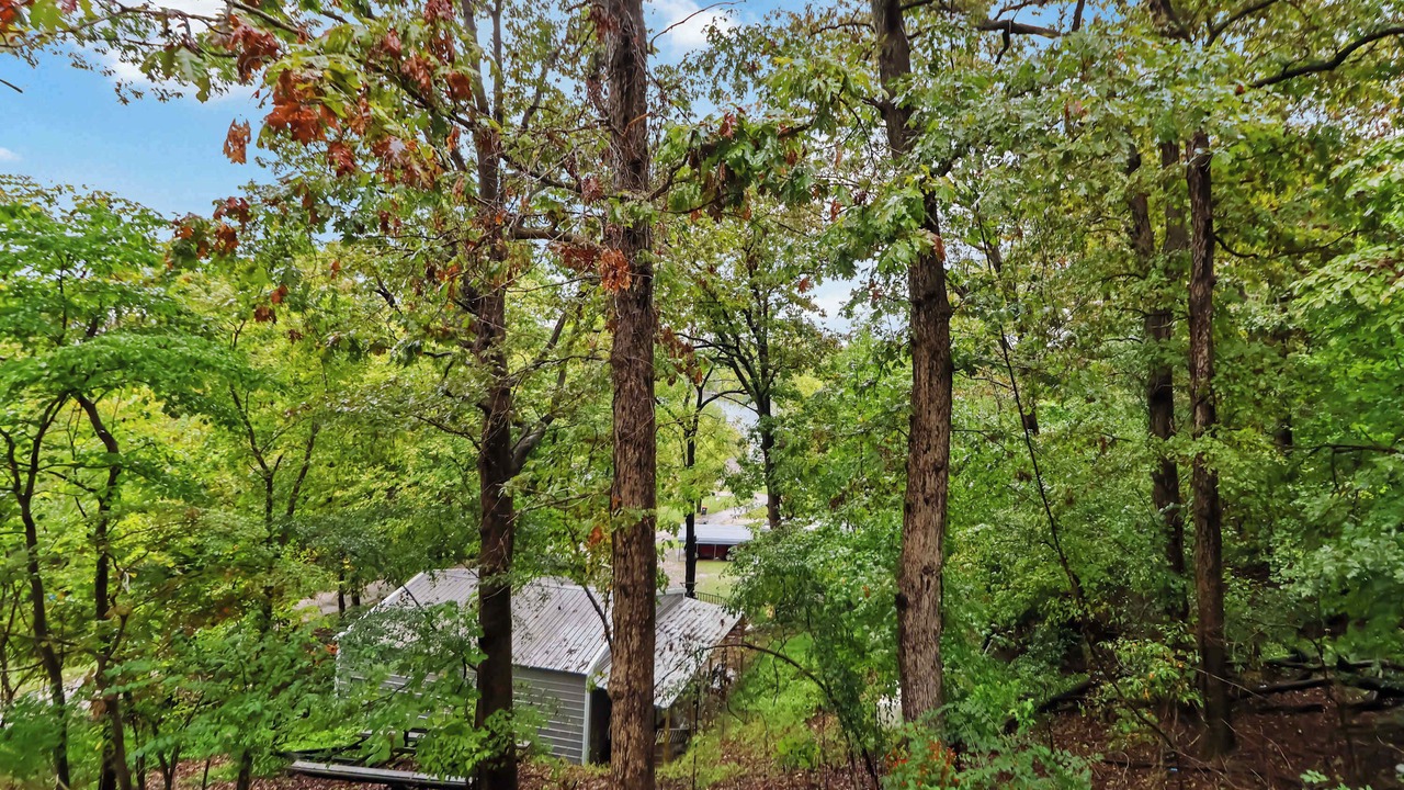 Photo of Outdoor in Springdale