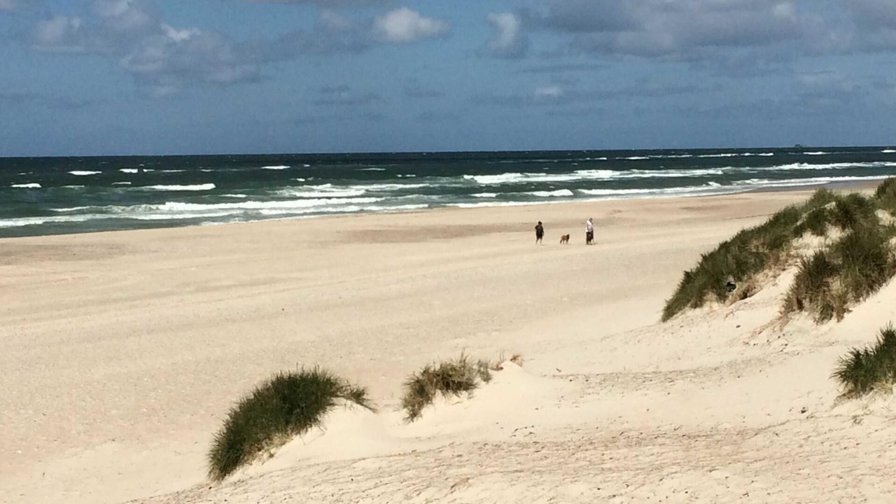Photo of Others in Henne Strand