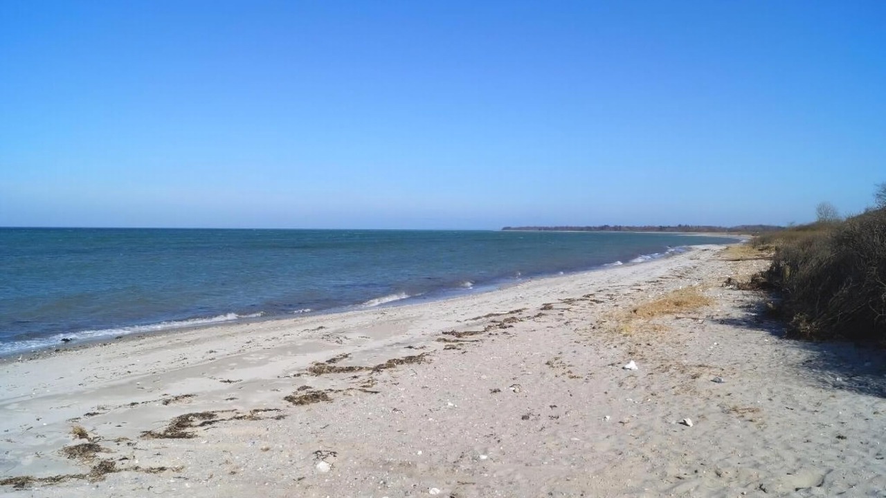 Photo of Others in Skastrup Strand