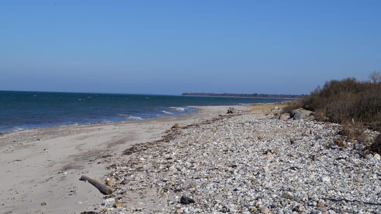 Photo of Others in Skastrup Strand