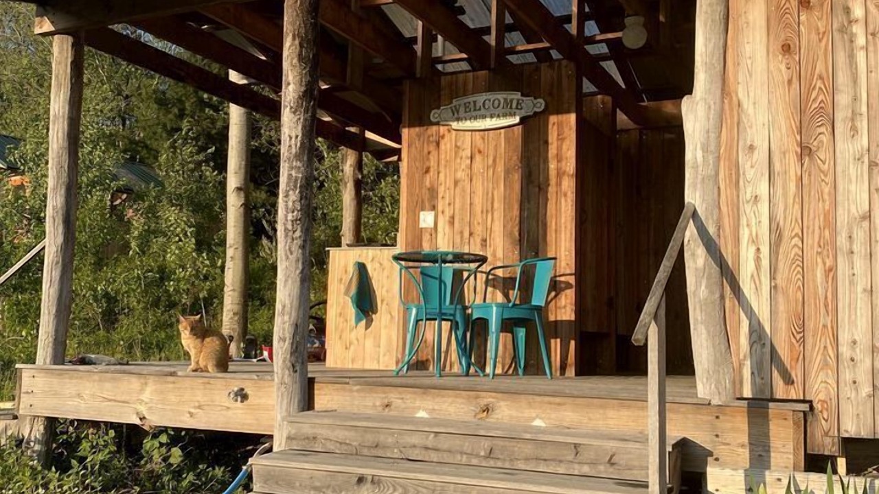 Photo of Outdoor in Caroline