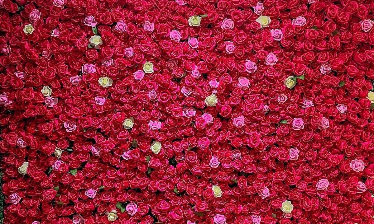 Photo of Others in Tassin-la-Demi-Lune