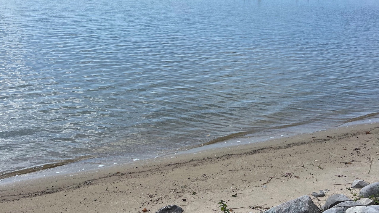 Photo of Others in Bear Lake