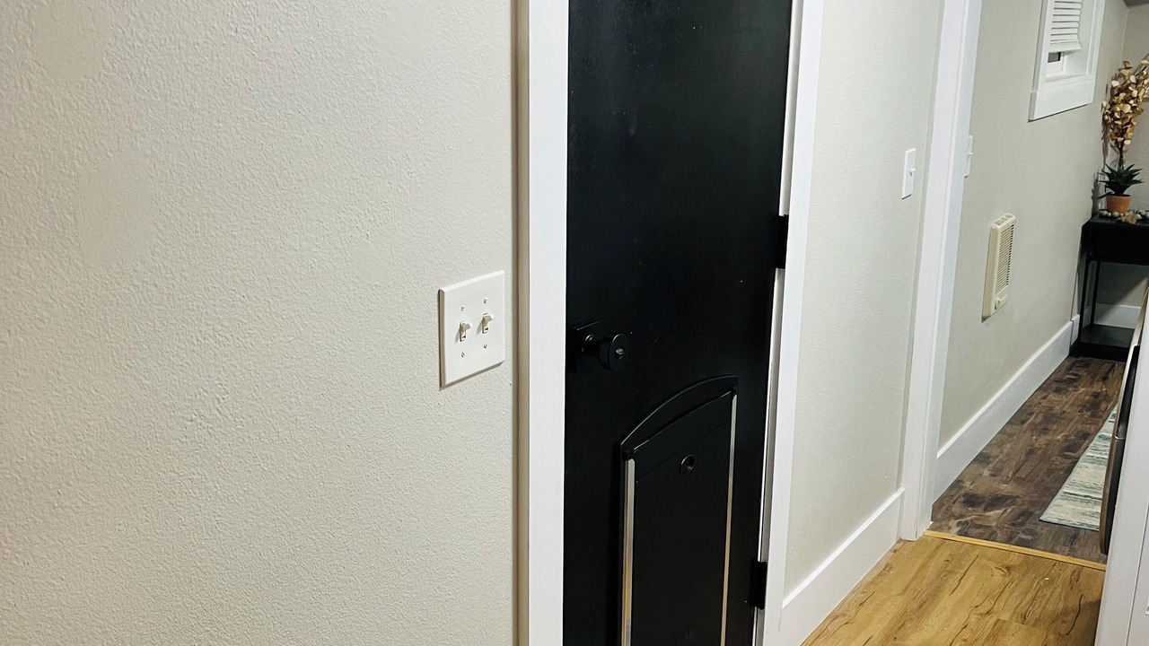 Photo of Others in Salmon