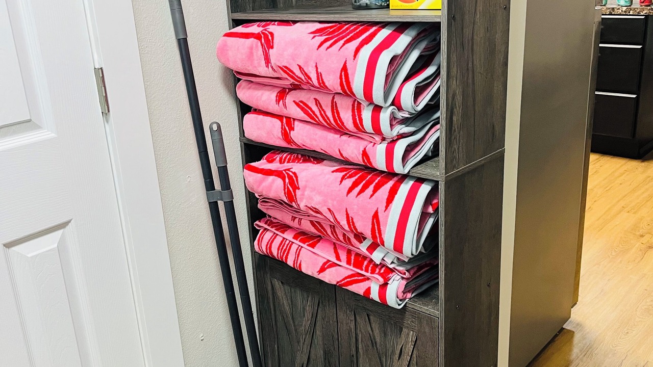 Photo of Others in Salmon