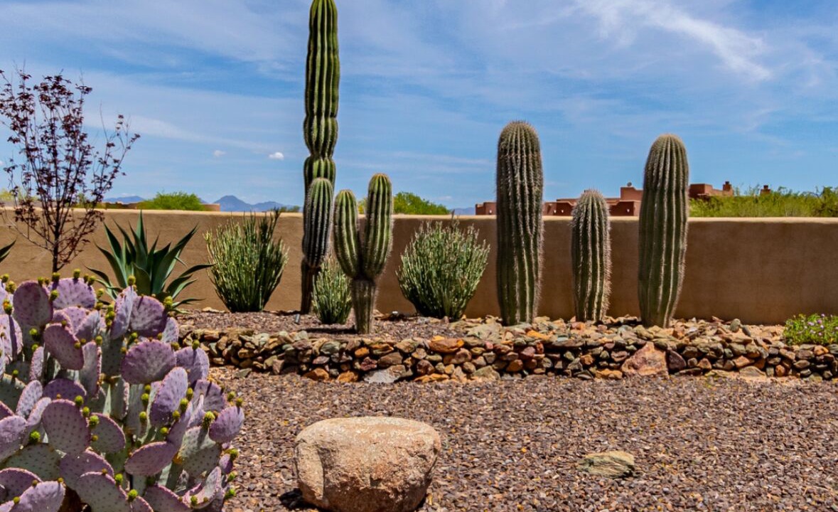 Photo of Outdoor in Rio Verde Foothills