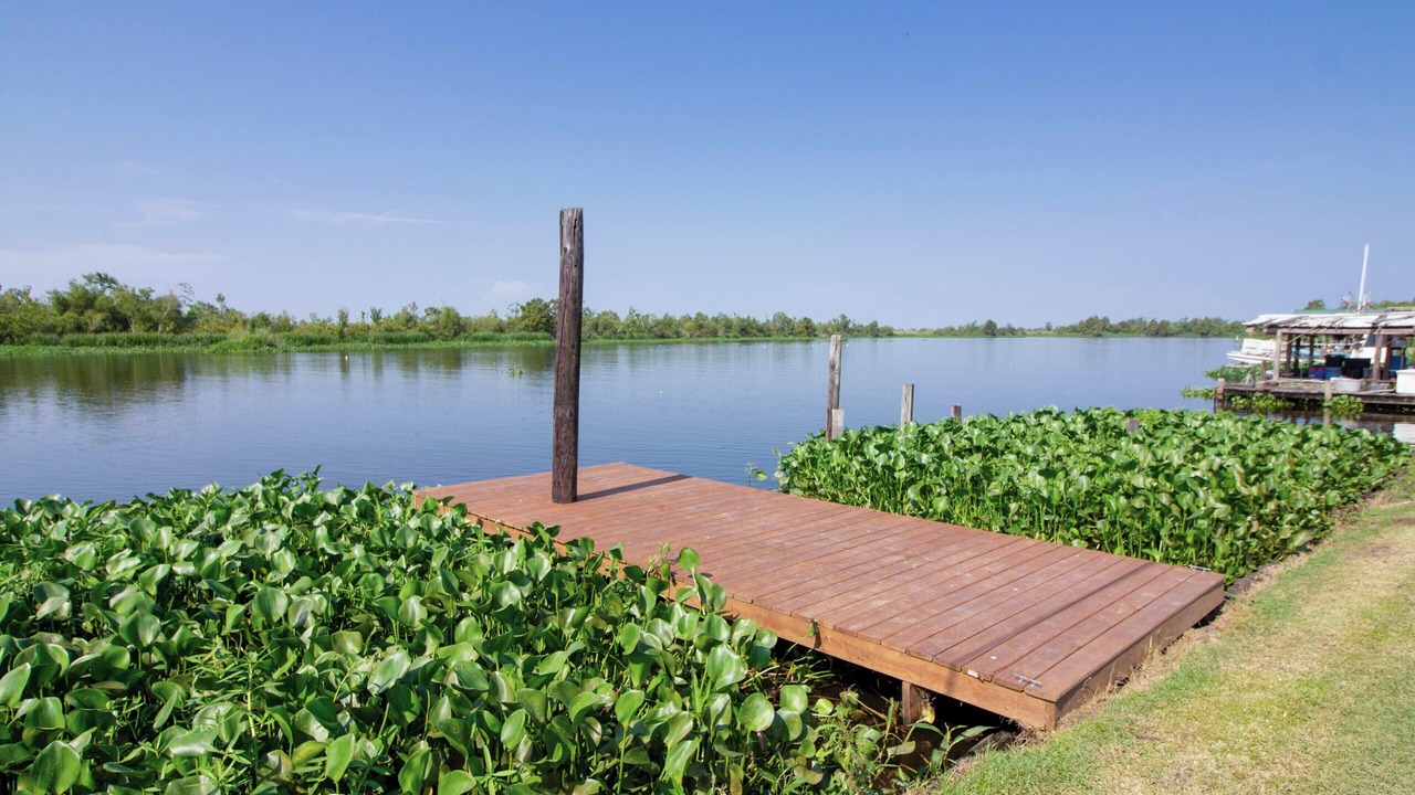 Photo of Outdoor in Bayou Gauche