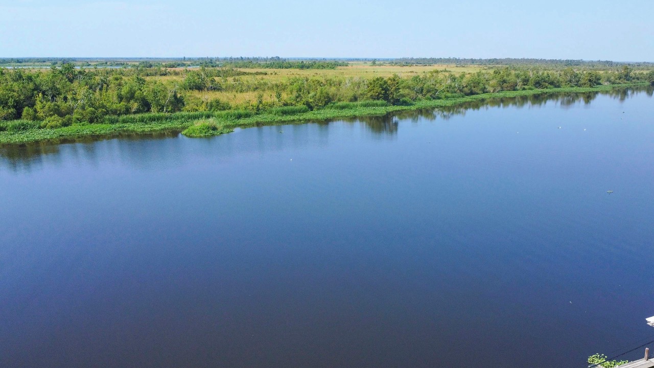 Photo of Others in Bayou Gauche